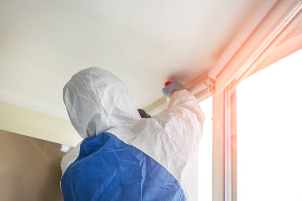 Best Mold Odor Removal Services  in Barnsdall, OK